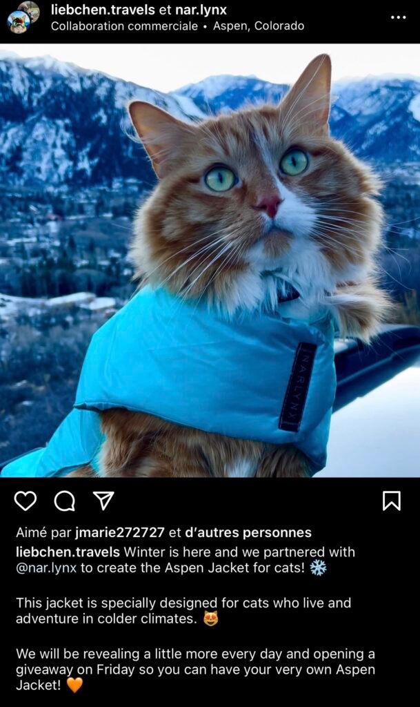 Partnership instagram: : how to make money on instagram
